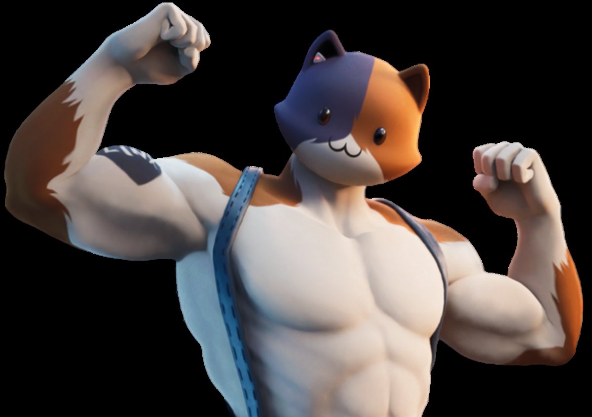 Meowscles